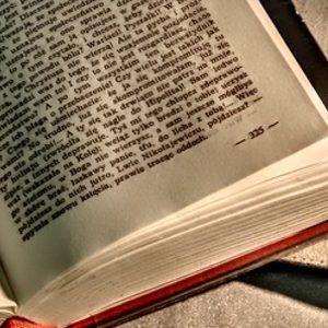 CATALOGHI E GUIDE